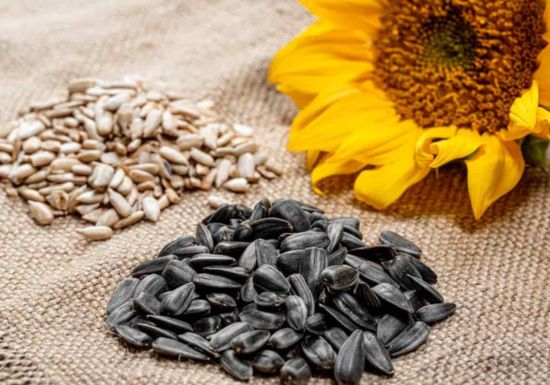 Best Diet for Glowing Skin